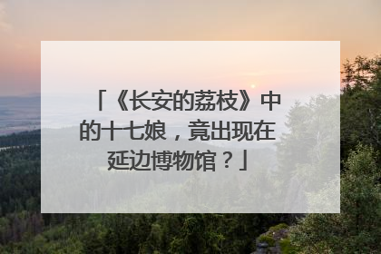 《长安的荔枝》中的十七娘，竟出现在延边博物馆？