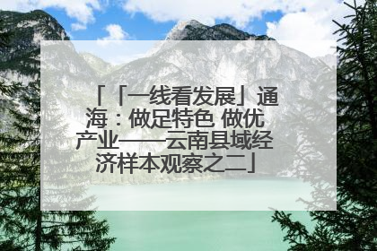 「一线看发展」通海：做足特色 做优产业——云南县域经济样本观察之二