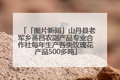 「图片新闻」山丹县老军乡蕃昌农副产品专业合作社每年生产各类玫瑰花产品500多吨