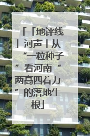 「地评线」河声丨从“一粒种子”看河南“两高四着力”的落地生根