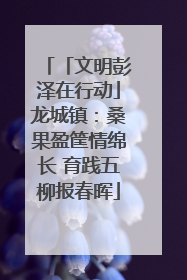 「文明彭泽在行动」龙城镇：桑果盈筐情绵长 育践五柳报春晖