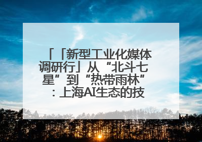 「新型工业化媒体调研行」从“北斗七星”到“热带雨林”：上海AI生态的技术商业共生密码
