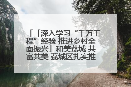 「深入学习“千万工程”经验 推进乡村全面振兴」和美荔城 共富共美 荔城区扎实推进乡村振兴工作