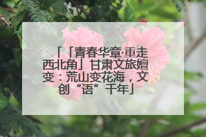 「青春华章·重走西北角」甘肃文旅嬗变：荒山变花海，文创“语”千年