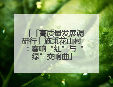 「高质量发展调研行」施秉花山村：奏响“红”与“绿”交响曲