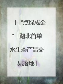 “点绿成金” 湖北首单水生态产品交易落地