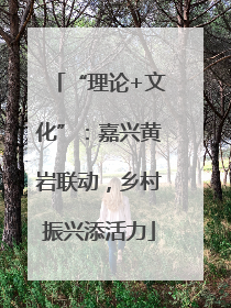 “理论+文化”：嘉兴黄岩联动，乡村振兴添活力
