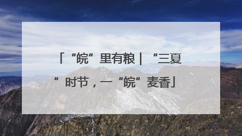 “皖”里有粮｜“三夏”时节，一“皖”麦香