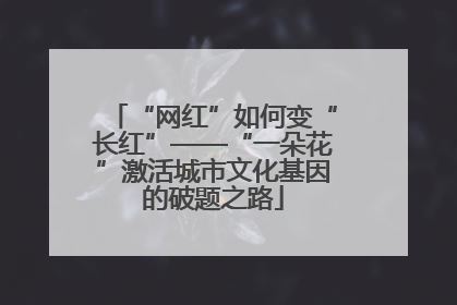 “网红”如何变“长红”——“一朵花”激活城市文化基因的破题之路