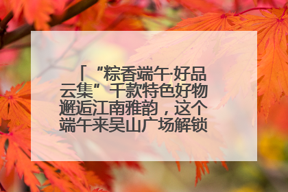 “粽香端午·好品云集”千款特色好物邂逅江南雅韵，这个端午来吴山广场解锁“浙里烟火气”