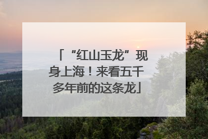 “红山玉龙”现身上海！来看五千多年前的这条龙