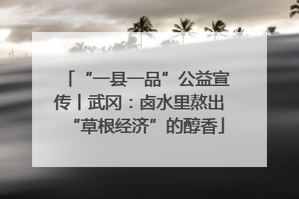 “一县一品”公益宣传丨武冈：卤水里熬出“草根经济”的醇香