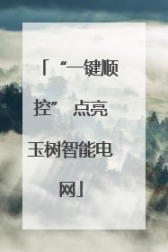“一键顺控” 点亮玉树智能电网