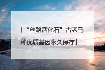 “丝路活化石”古老马种优质基因永久保存