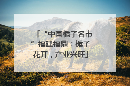 “中国栀子名市”福建福鼎：栀子花开，产业兴旺