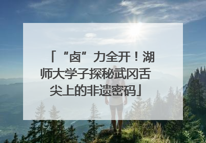 “卤”力全开！湖师大学子探秘武冈舌尖上的非遗密码