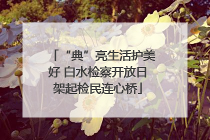 “典”亮生活护美好 白水检察开放日架起检民连心桥