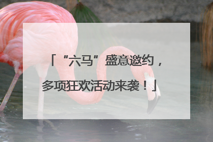 “六马”盛意邀约，多项狂欢活动来袭！