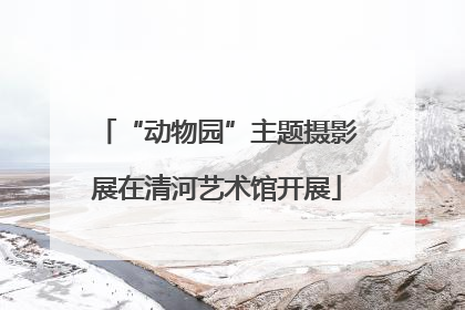 “动物园”主题摄影展在清河艺术馆开展