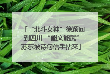 “北斗女神”徐颖回到四川 “能文能武”苏东坡诗句信手拈来