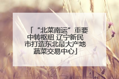 “北菜南运”重要中转枢纽 辽宁新民市打造东北最大产地蔬菜交易中心