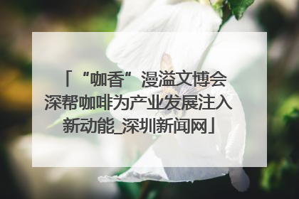 “咖香”漫溢文博会 深帮咖啡为产业发展注入新动能_深圳新闻网