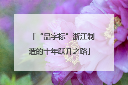 “品字标”浙江制造的十年跃升之路