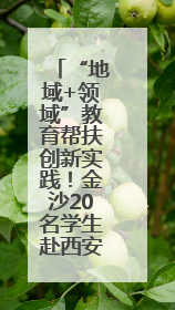 “地域+领域”教育帮扶创新实践！金沙20名学生赴西安研学