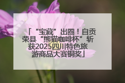 “宝藏”出圈！自贡荣县“熊猫咖啡杯”斩获2025四川特色旅游商品大赛铜奖
