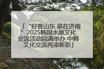 “好客山东 泉在济南”2025韩国水原文化交流活动圆满举办 中韩文化交流再添新彩