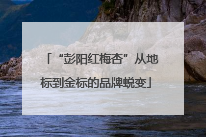 “彭阳红梅杏”从地标到金标的品牌蜕变