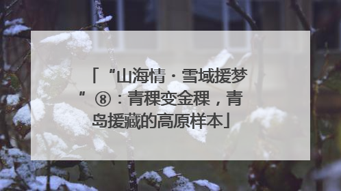 “山海情・雪域援梦”⑧：青稞变金稞，青岛援藏的高原样本