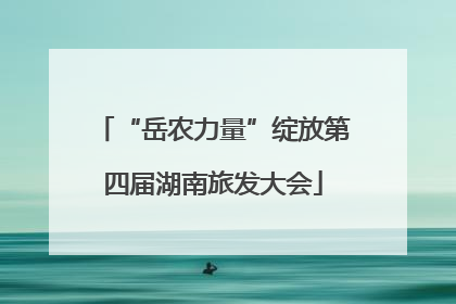 “岳农力量”绽放第四届湖南旅发大会