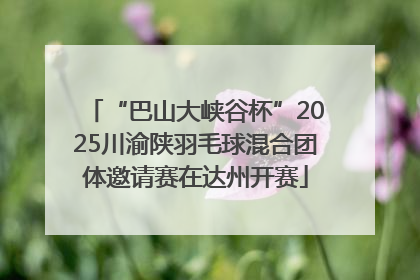 “巴山大峡谷杯”2025川渝陕羽毛球混合团体邀请赛在达州开赛