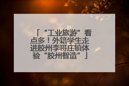 “工业旅游”看点多！外籍学生走进胶州李哥庄镇体验“胶州智造”