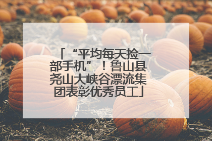 “平均每天捡一部手机”！鲁山县尧山大峡谷漂流集团表彰优秀员工