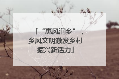 “惠风润乡”，乡风文明激发乡村振兴新活力