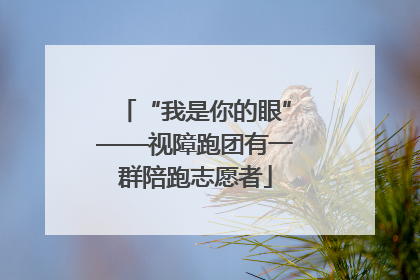 “我是你的眼”——视障跑团有一群陪跑志愿者
