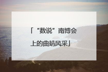 “数说”南博会上的曲靖风采
