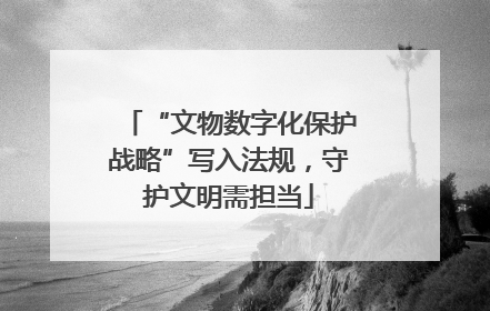 “文物数字化保护战略”写入法规，守护文明需担当