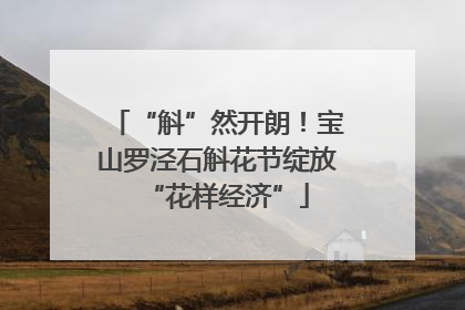 “斛”然开朗！宝山罗泾石斛花节绽放“花样经济”