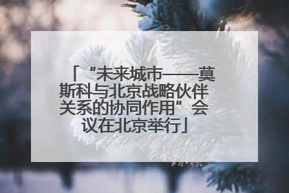 “未来城市——莫斯科与北京战略伙伴关系的协同作用”会议在北京举行