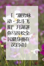 “潮势咏动・北斗飞阳”月湖迷你马拉松全民健身赛在汉启动