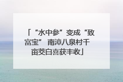 “水中参”变成“致富宝” 南漳八泉村千亩茭白喜获丰收