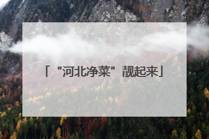 “河北净菜”靓起来
