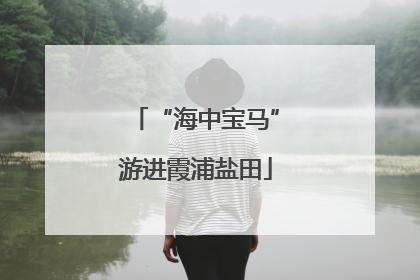 “海中宝马”游进霞浦盐田
