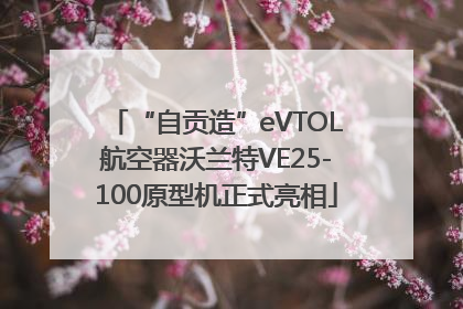 “自贡造”eVTOL航空器沃兰特VE25-100原型机正式亮相