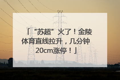 “苏超”火了！金陵体育直线拉升，几分钟20cm涨停！