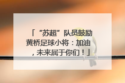 “苏超”队员鼓励黄桥足球小将：加油，未来属于你们！