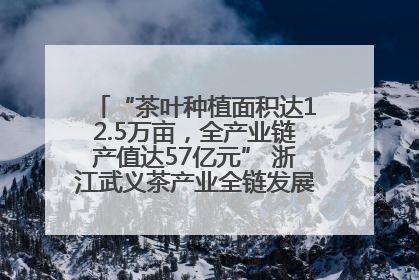 “茶叶种植面积达12.5万亩，全产业链产值达57亿元” 浙江武义茶产业全链发展“加速度”